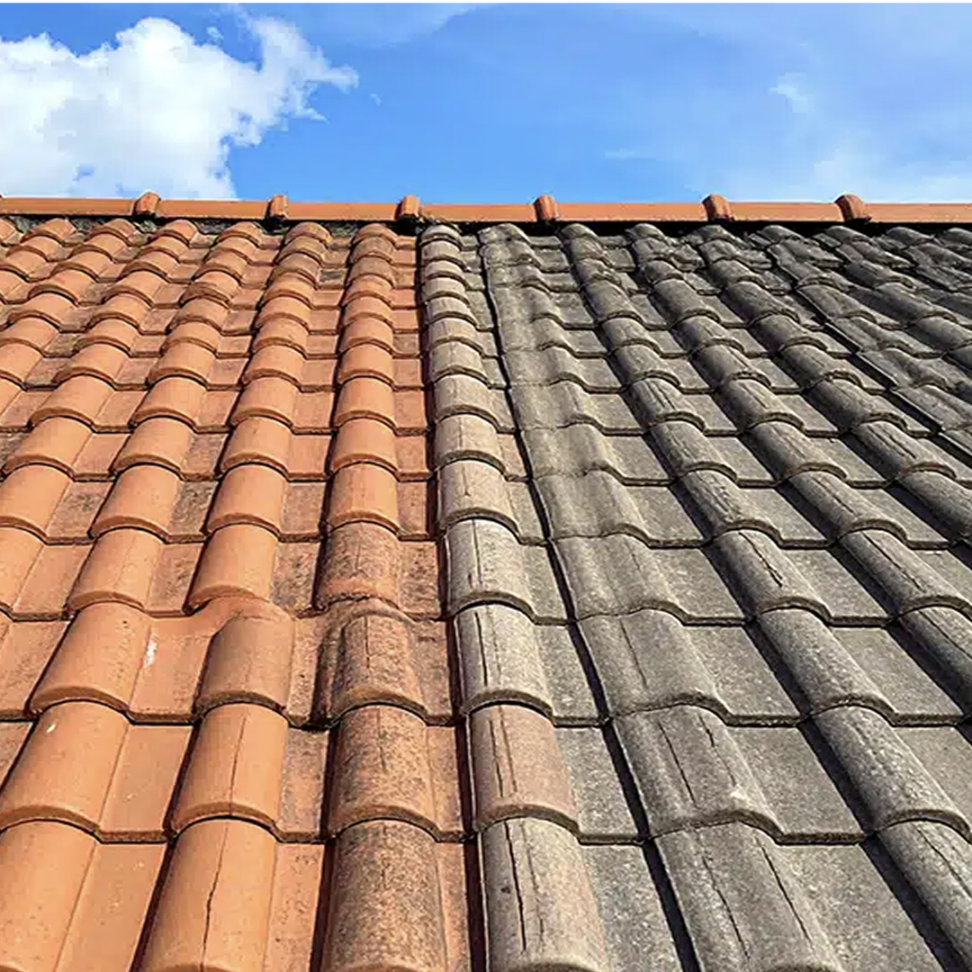 Traitement anti-mousse toit alpes maritimes