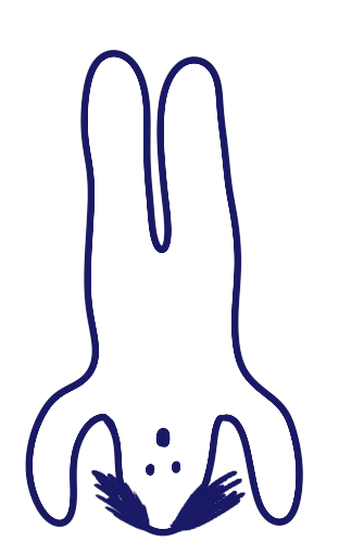 Entreprise travaux façade alpes maritimes